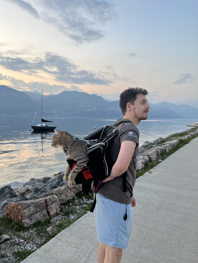 cat and a man by the lake