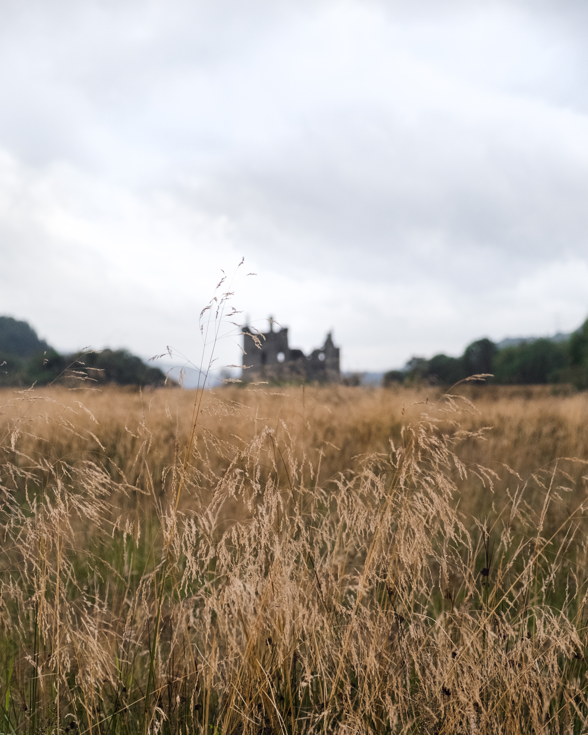 A scottish hay field with castle ruins in the background